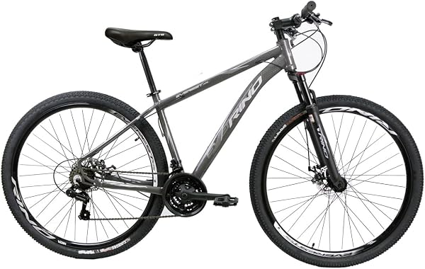 Rino Everest Aro 29 24v Freio a Disco Câmbios Shimano