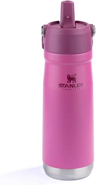 Stanley Garrafa Térmica IceFlow Flip Straw 651ml